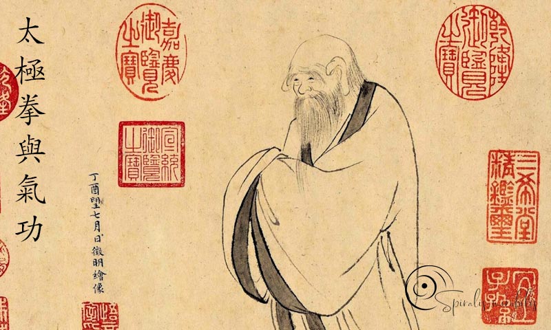 Spiralis Mirabilis - Rivista dedicata alle arti marziali cinesi e alla cultura tradizionale cinese con focus su Tai Chi QiGong e DaoYin