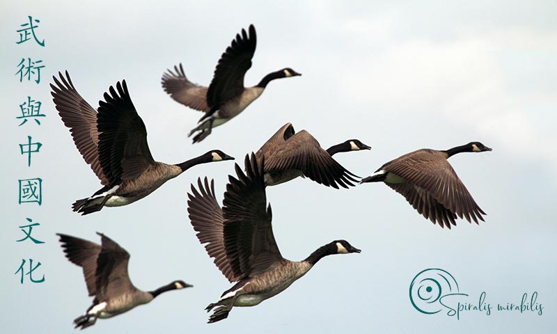 Oche - Spiralis Mirabilis Magazine - Arti marziali e cultura tradizionale cinese