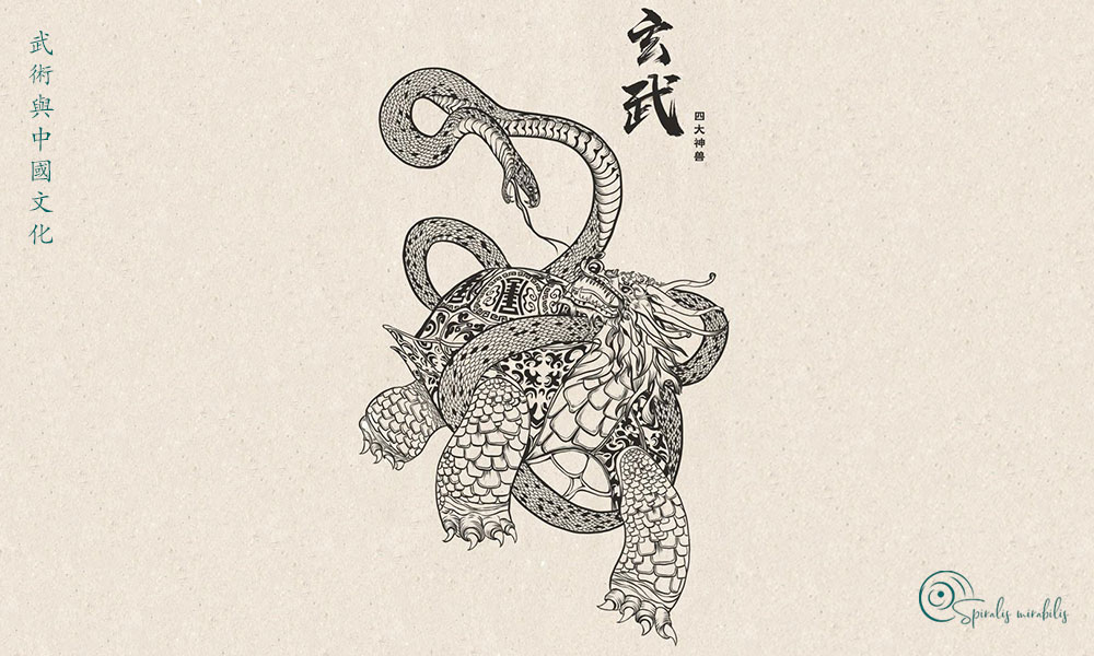 Tartaruga nera - Spiralis Mirabilis Magazine - Arti marziali e cultura tradizionale cinese